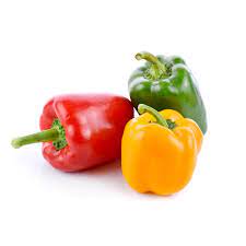 Plantes potagères (légumes)